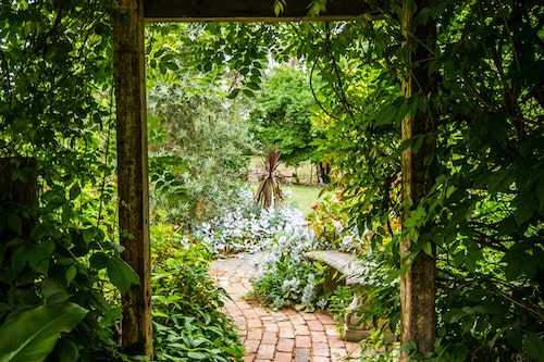 Lush garden archway